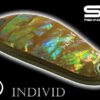SV Fishing Individ SB01