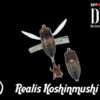 duo Realis Koshinmushi CCC3203
