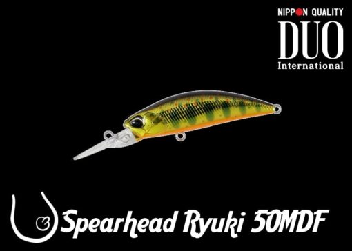 Wobler DUO Spearhead Ryuki 50MDF #MCC4084 Gold Yamame 3.4g 50mm