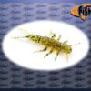 Dipovaná nástraha FishUp Stonefly barva caramel/green&black 036