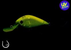 Nories Meet 33dr f 406M UV