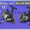 favorite blue bird 2025